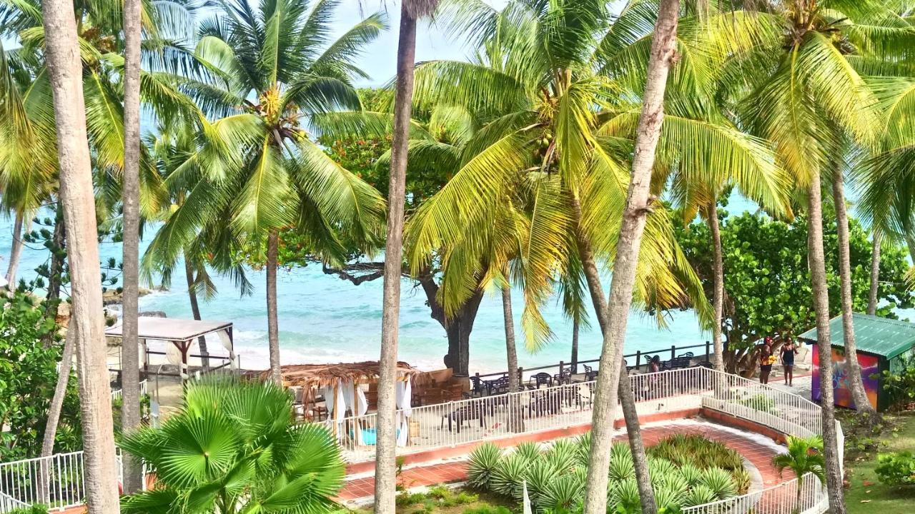 Grand Studio Les Pieds Dans L'Eau, Centre Ville Le Gosier  Luaran gambar