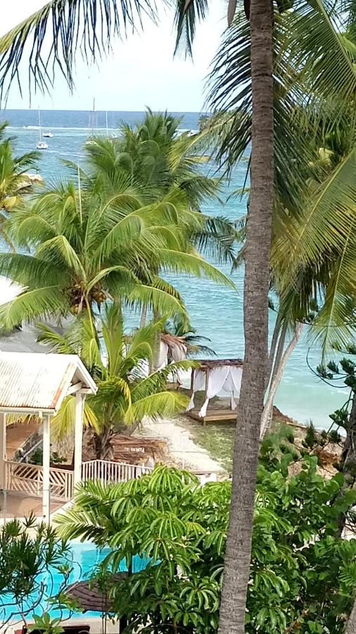 Grand Studio Les Pieds Dans L'Eau, Centre Ville Le Gosier  Luaran gambar