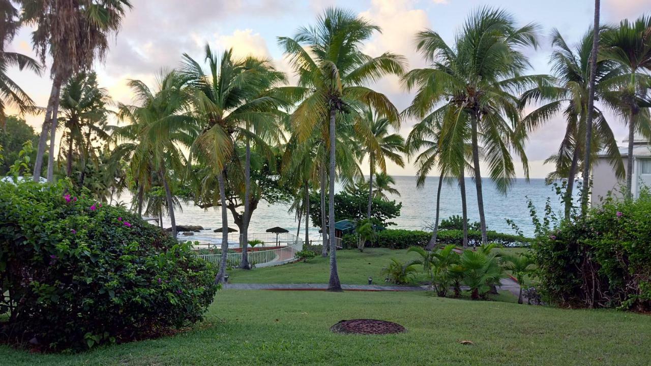 Grand Studio Les Pieds Dans L'Eau, Centre Ville Le Gosier  Luaran gambar