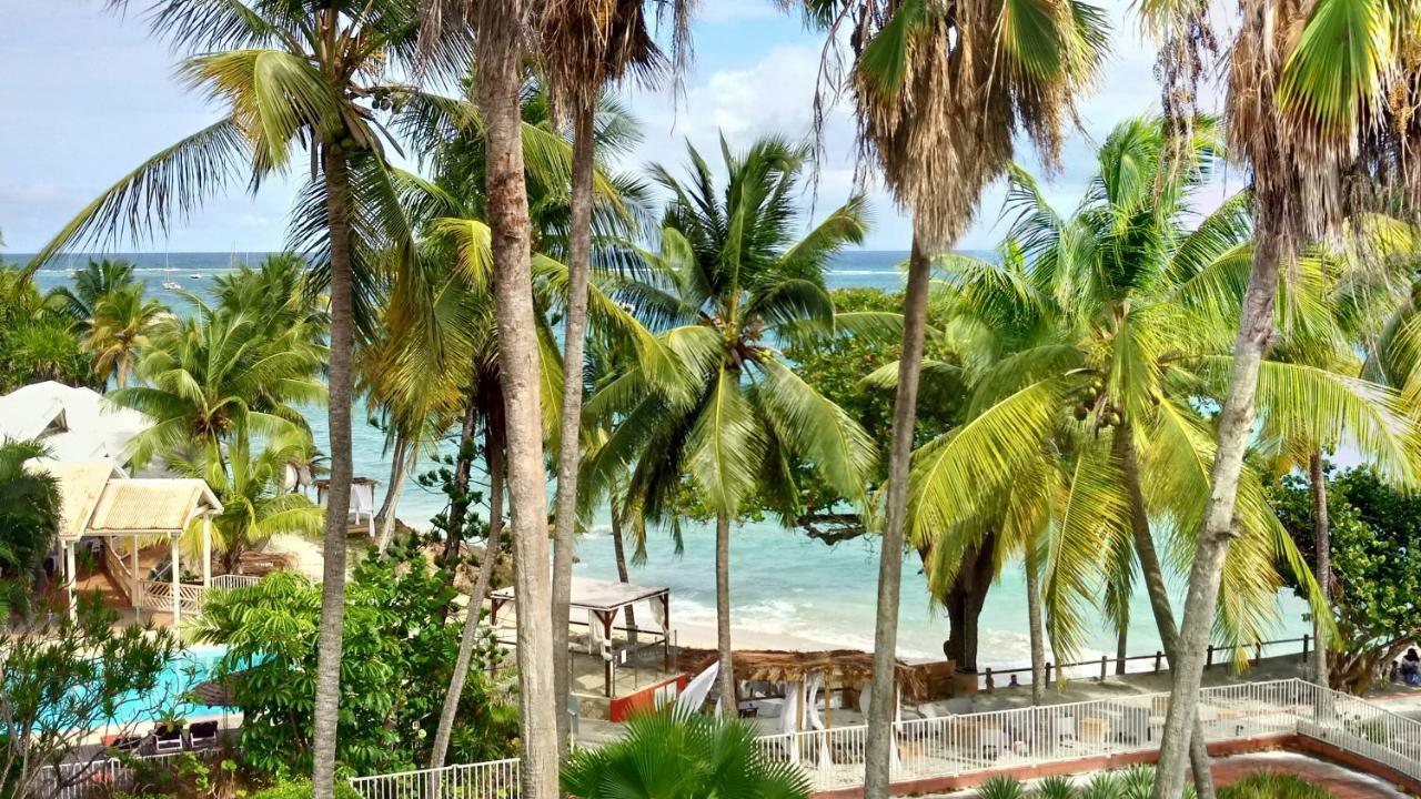 Grand Studio Les Pieds Dans L'Eau, Centre Ville Le Gosier  Luaran gambar